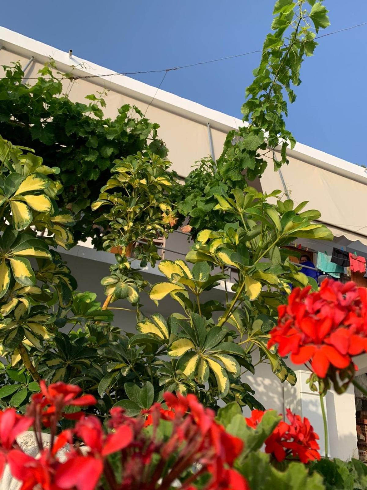 Sea La Vie Anesti Apartment Borsh Exterior foto