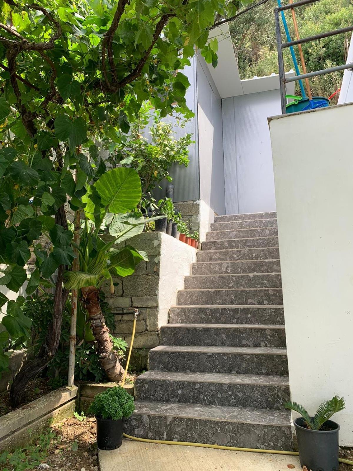 Sea La Vie Anesti Apartment Borsh Exterior foto